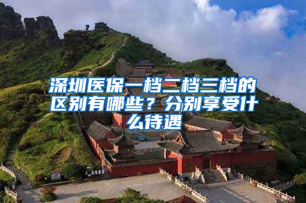 深圳医保一档二档三档的区别有哪些？分别享受什么待遇