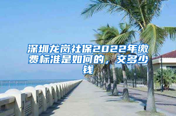 深圳龙岗社保2022年缴费标准是如何的，交多少钱