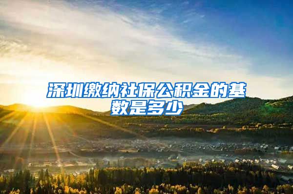 深圳缴纳社保公积金的基数是多少