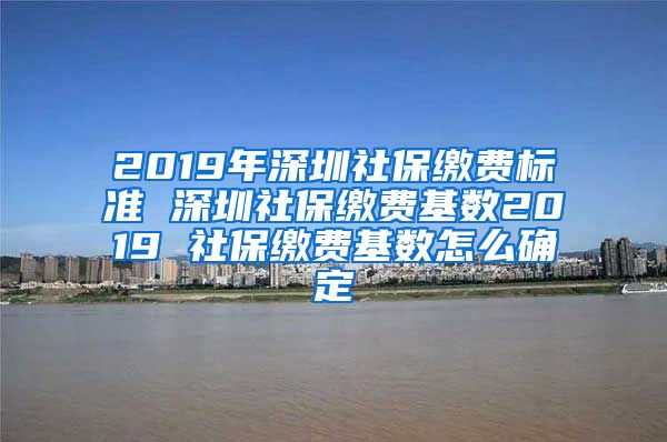 2019年深圳社保缴费标准 深圳社保缴费基数2019 社保缴费基数怎么确定