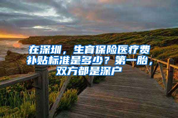 在深圳，生育保险医疗费补贴标准是多少？第一胎，双方都是深户