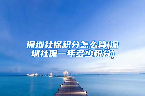 深圳社保积分怎么算(深圳社保一年多少积分)