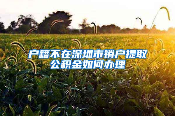 户籍不在深圳市销户提取公积金如何办理