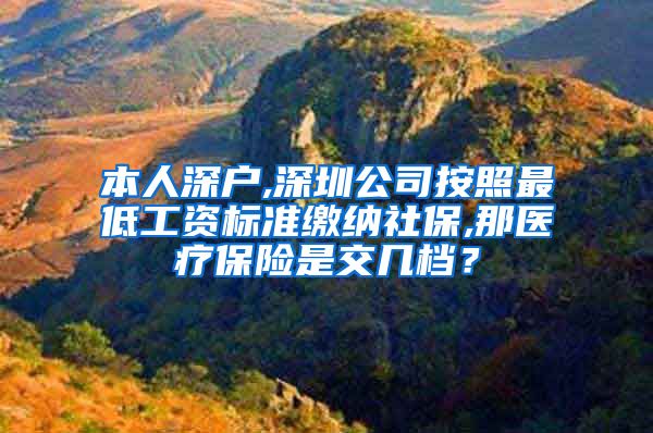 本人深户,深圳公司按照最低工资标准缴纳社保,那医疗保险是交几档？