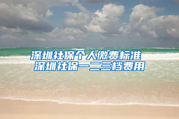 深圳社保个人缴费标准 深圳社保一二三档费用