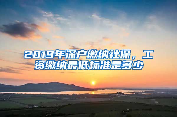 2019年深户缴纳社保，工资缴纳最低标准是多少