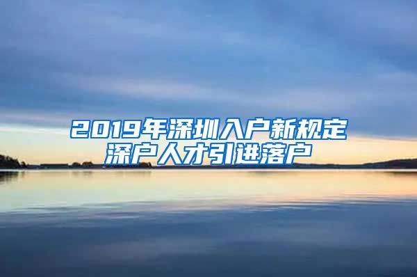 2019年深圳入户新规定深户人才引进落户