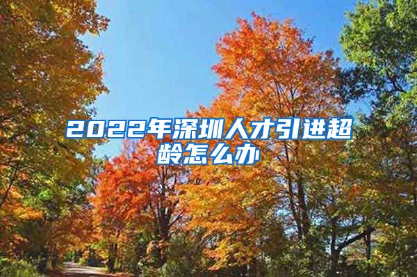 2022年深圳人才引进超龄怎么办