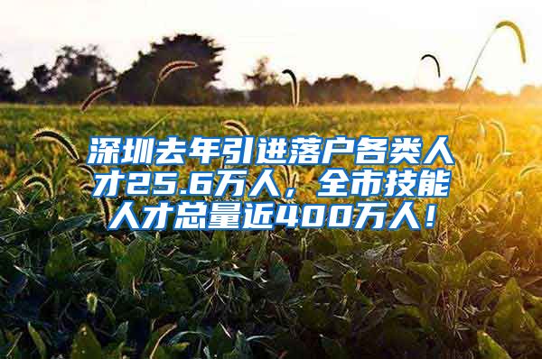 深圳去年引进落户各类人才25.6万人，全市技能人才总量近400万人！