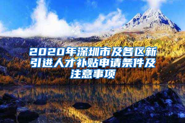 2020年深圳市及各区新引进人才补贴申请条件及注意事项