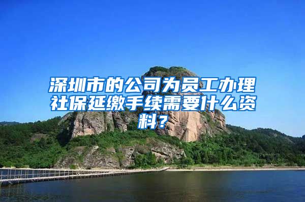 深圳市的公司为员工办理社保延缴手续需要什么资料？