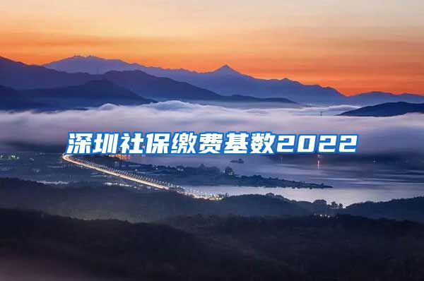 深圳社保缴费基数2022