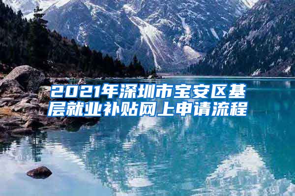 2021年深圳市宝安区基层就业补贴网上申请流程