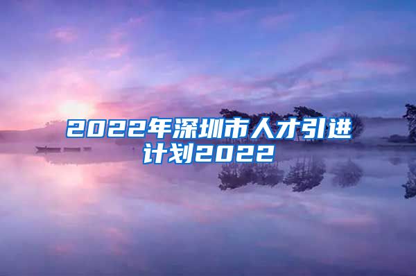 2022年深圳市人才引进计划2022