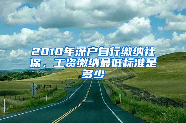 2010年深户自行缴纳社保，工资缴纳最低标准是多少