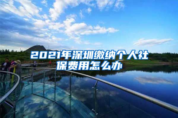 2021年深圳缴纳个人社保费用怎么办