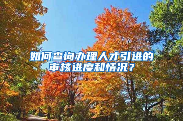 如何查询办理人才引进的审核进度和情况？