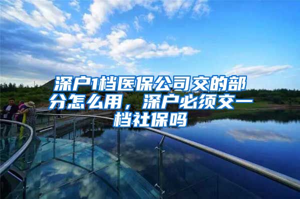 深户1档医保公司交的部分怎么用，深户必须交一档社保吗