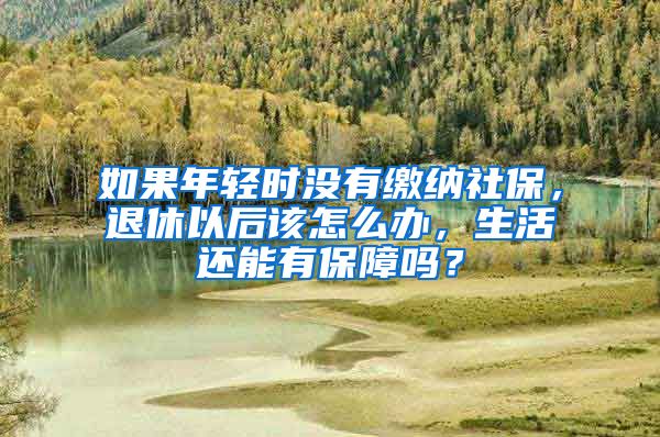 如果年轻时没有缴纳社保，退休以后该怎么办，生活还能有保障吗？