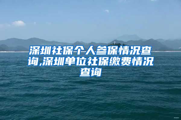 深圳社保个人参保情况查询,深圳单位社保缴费情况查询