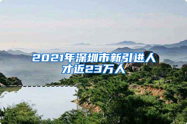 2021年深圳市新引进人才近23万人