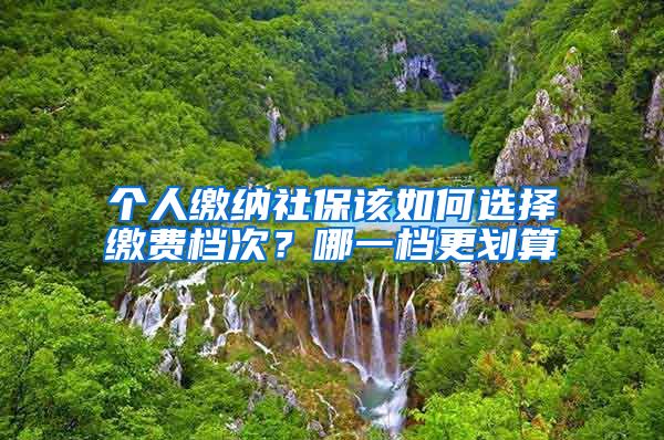 个人缴纳社保该如何选择缴费档次？哪一档更划算