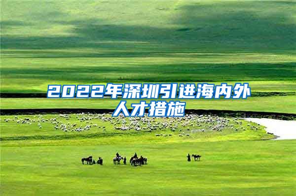 2022年深圳引进海内外人才措施