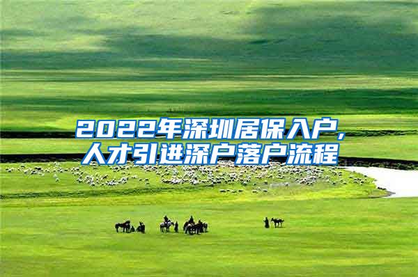 2022年深圳居保入户,人才引进深户落户流程