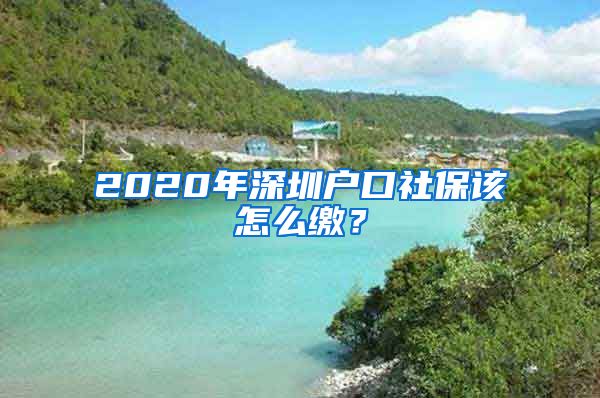 2020年深圳户口社保该怎么缴？