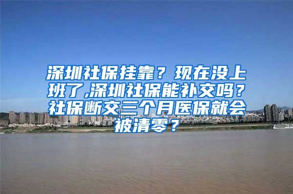 深圳社保挂靠？现在没上班了,深圳社保能补交吗？社保断交三个月医保就会被清零？