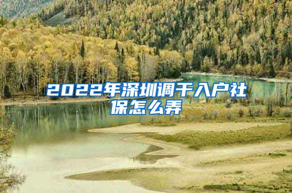 2022年深圳调干入户社保怎么弄