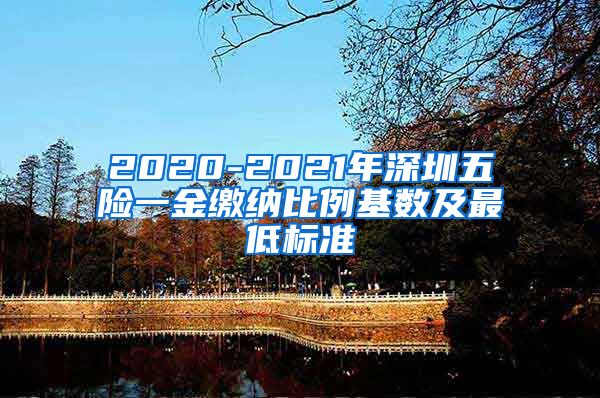 2020-2021年深圳五险一金缴纳比例基数及最低标准