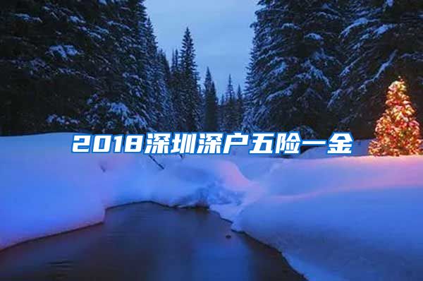 2018深圳深户五险一金