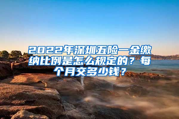 2022年深圳五险一金缴纳比例是怎么规定的？每个月交多少钱？