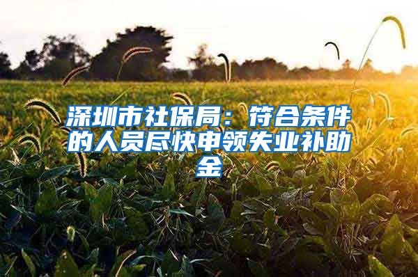 深圳市社保局：符合条件的人员尽快申领失业补助金