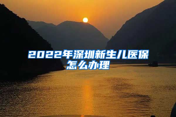 2022年深圳新生儿医保怎么办理