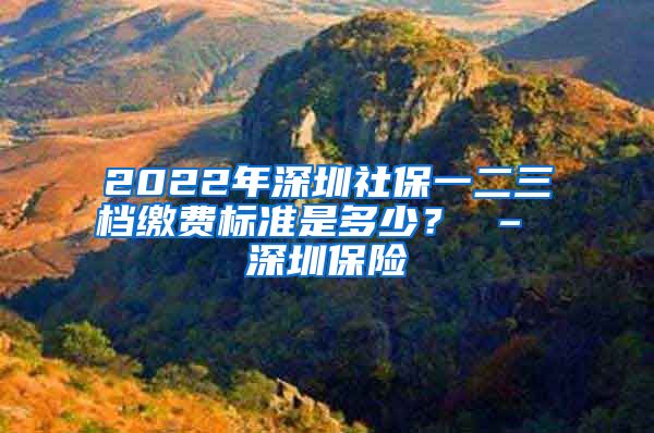 2022年深圳社保一二三档缴费标准是多少？ – 深圳保险