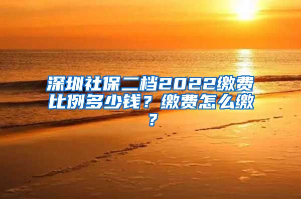 深圳社保二档2022缴费比例多少钱？缴费怎么缴？