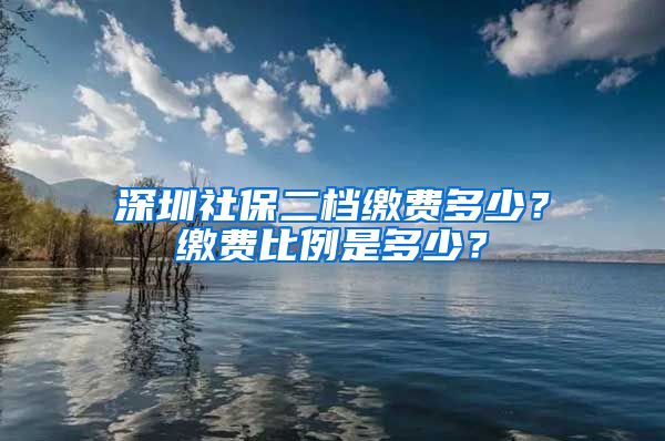 深圳社保二档缴费多少？缴费比例是多少？