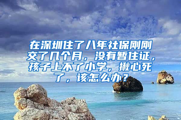 在深圳住了八年社保刚刚交了几个月，没有暂住证，孩子上不了小学，揪心死了，该怎么办？