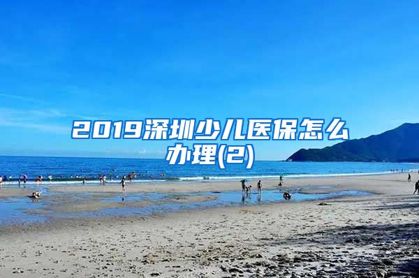 2019深圳少儿医保怎么办理(2)