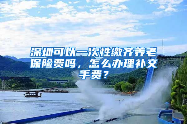 深圳可以一次性缴齐养老保险费吗，怎么办理补交手费？