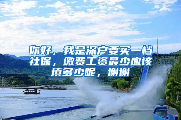 你好，我是深户要买一档社保，缴费工资最少应该填多少呢，谢谢