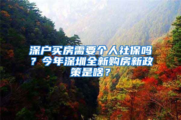 深户买房需要个人社保吗？今年深圳全新购房新政策是啥？