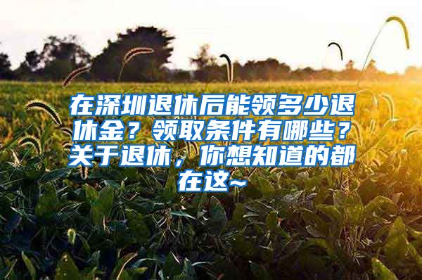 在深圳退休后能领多少退休金？领取条件有哪些？关于退休，你想知道的都在这~