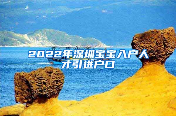 2022年深圳宝宝入户人才引进户口