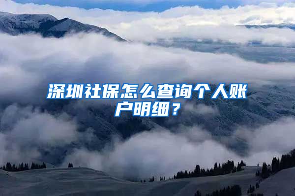 深圳社保怎么查询个人账户明细？