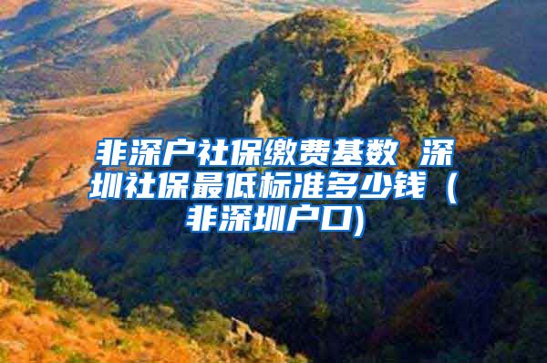 非深户社保缴费基数 深圳社保最低标准多少钱（非深圳户口)