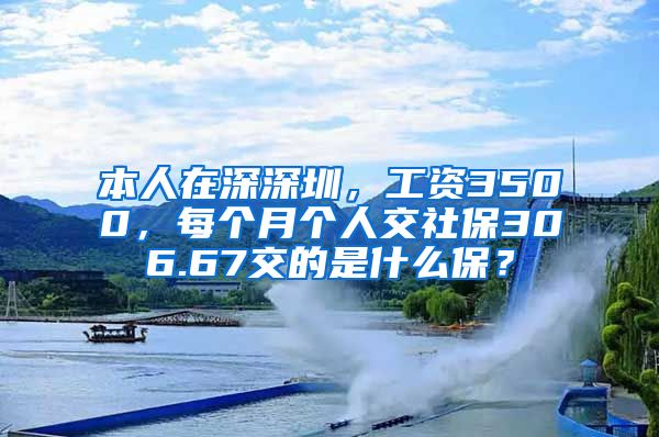 本人在深深圳，工资3500，每个月个人交社保306.67交的是什么保？