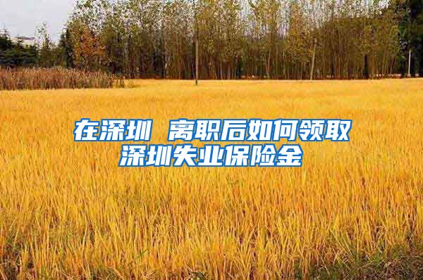 在深圳 离职后如何领取深圳失业保险金